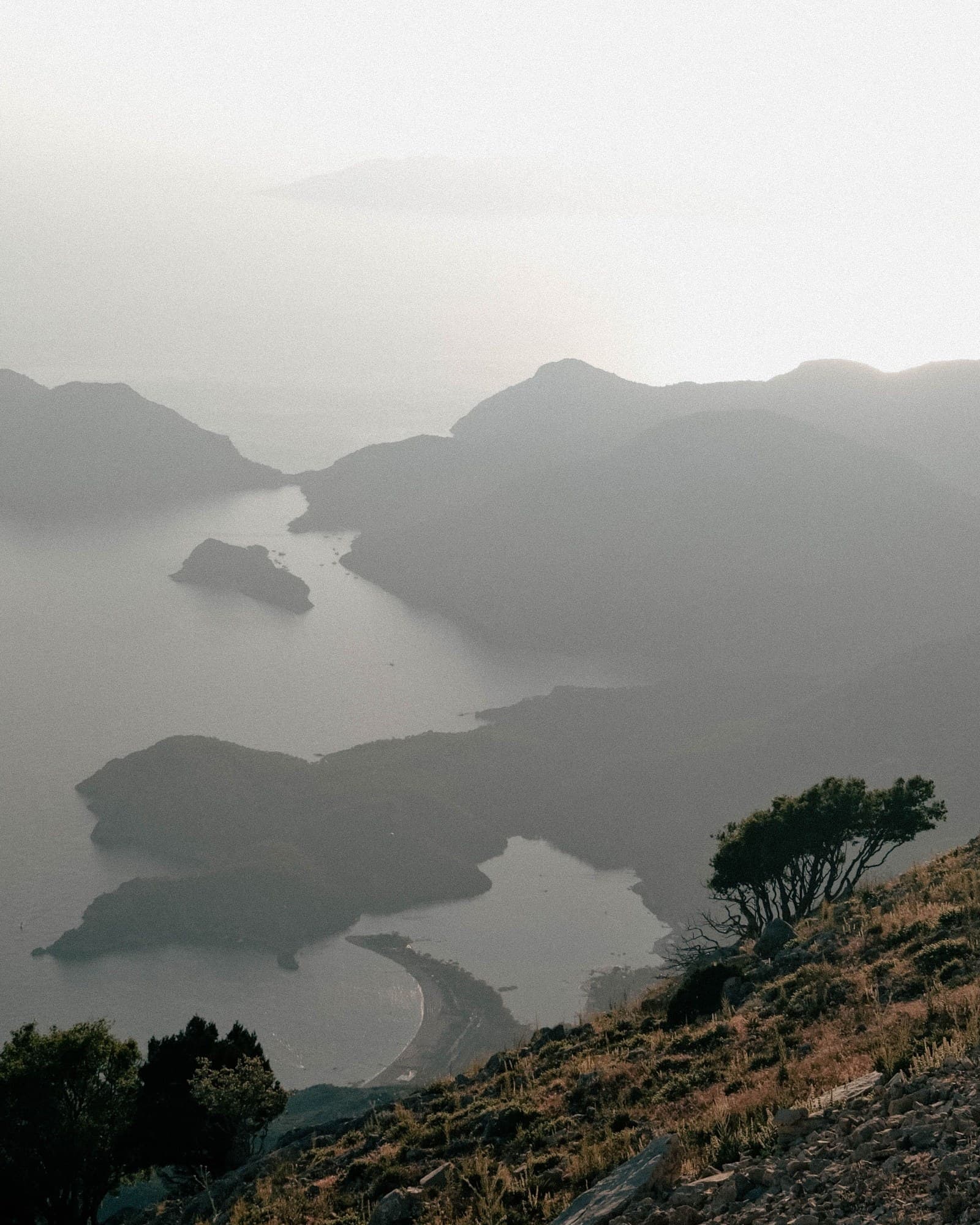 The Ölüdeniz coast from high ground — headlands and an inlet fading into silver haze, a wind-shaped pine on the rocky slope in front.