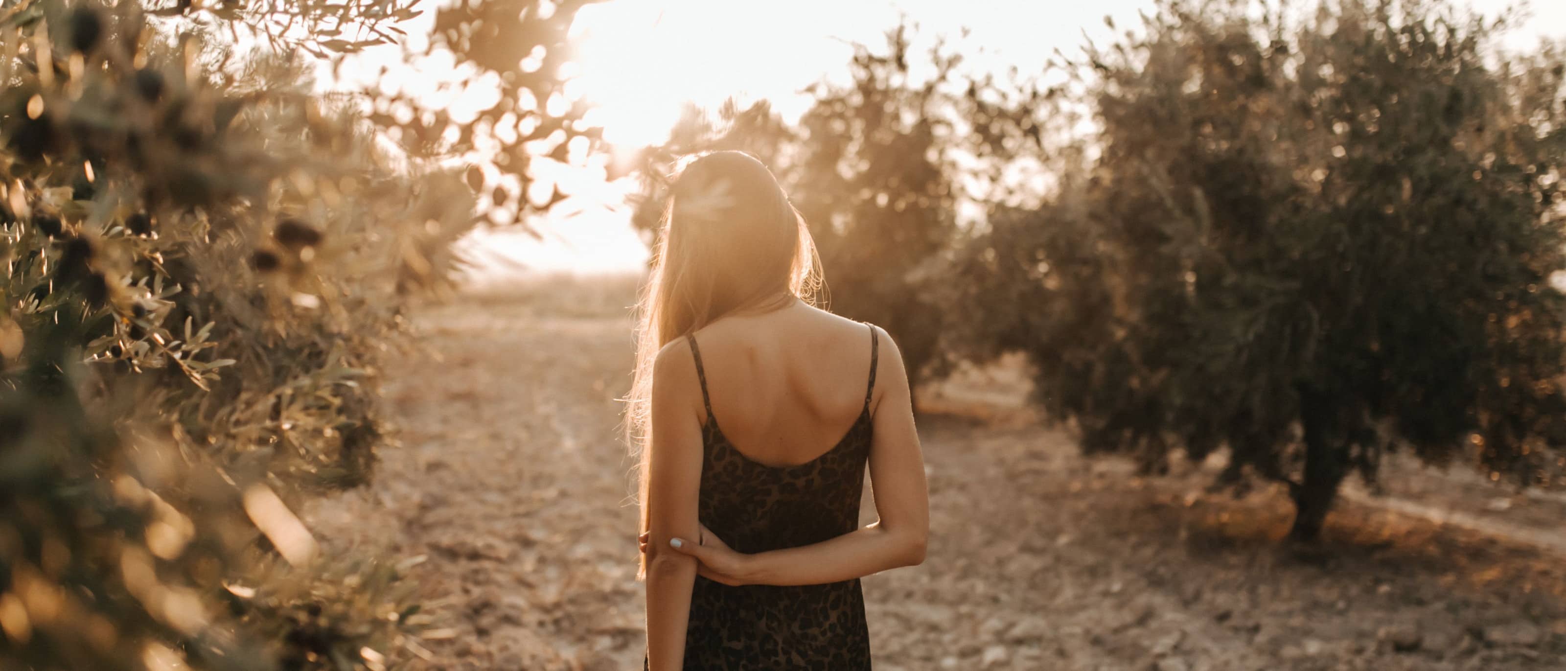 A woman walking away along a path through an olive grove, low sun coming through the branches behind her.